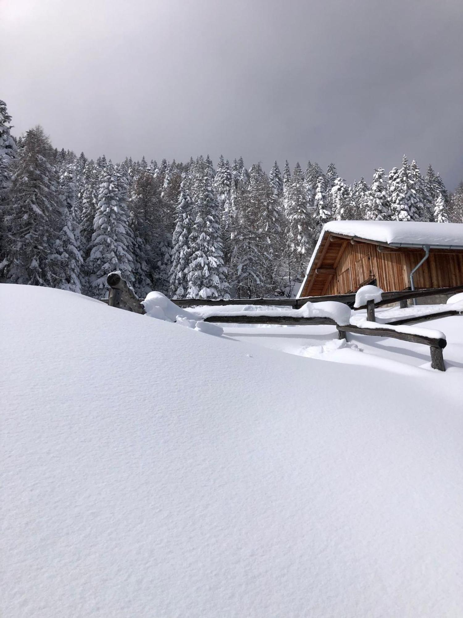 Brenta Luxury Chalet Sporminore Экстерьер фото