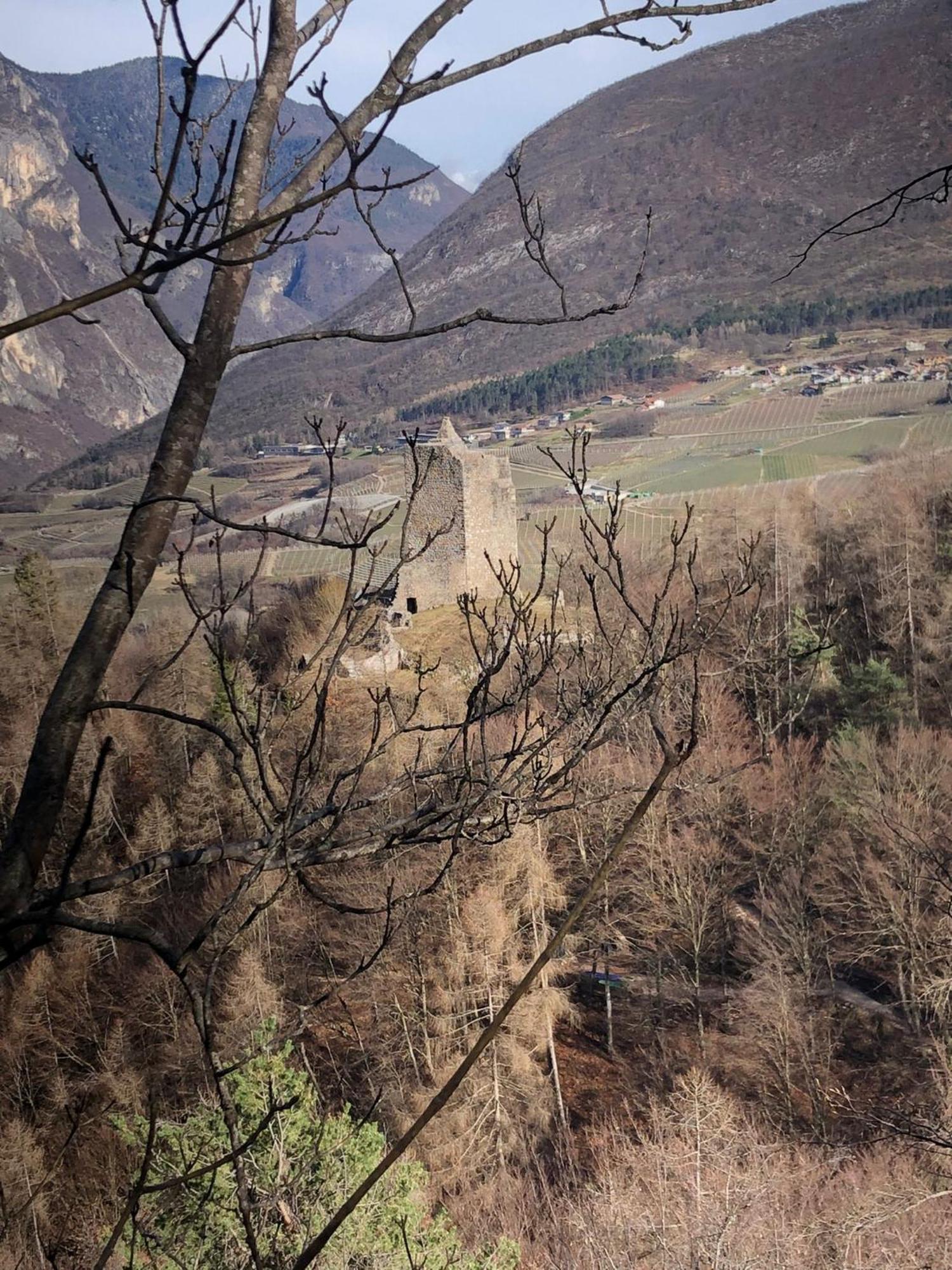 Brenta Luxury Chalet Sporminore Экстерьер фото